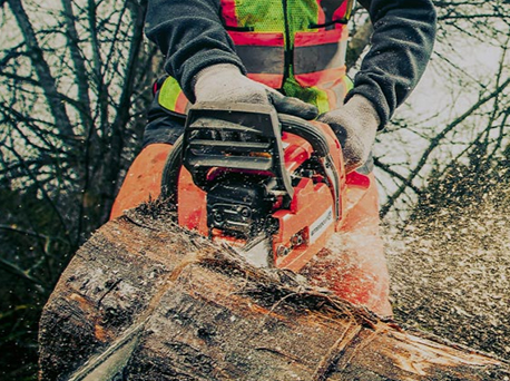 <span style="font-weight: bold;">Благоустройство/спил дереьев</span>